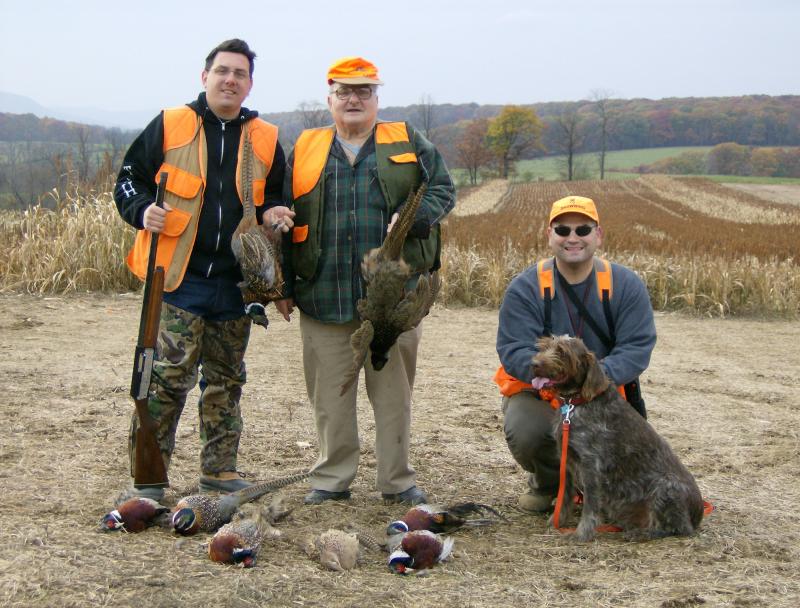 A successful day on Pheasant at "Biitner's Wild Wings"